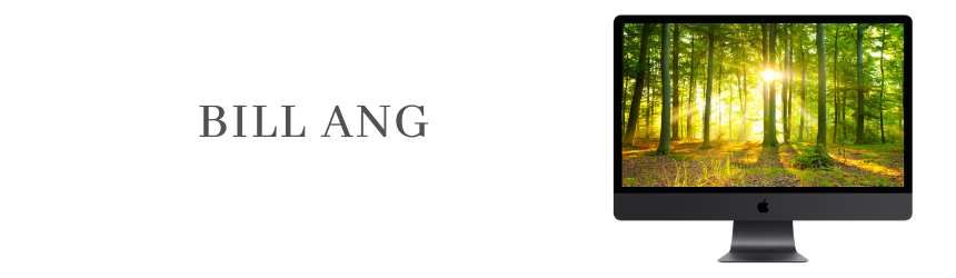 Bill Ang
